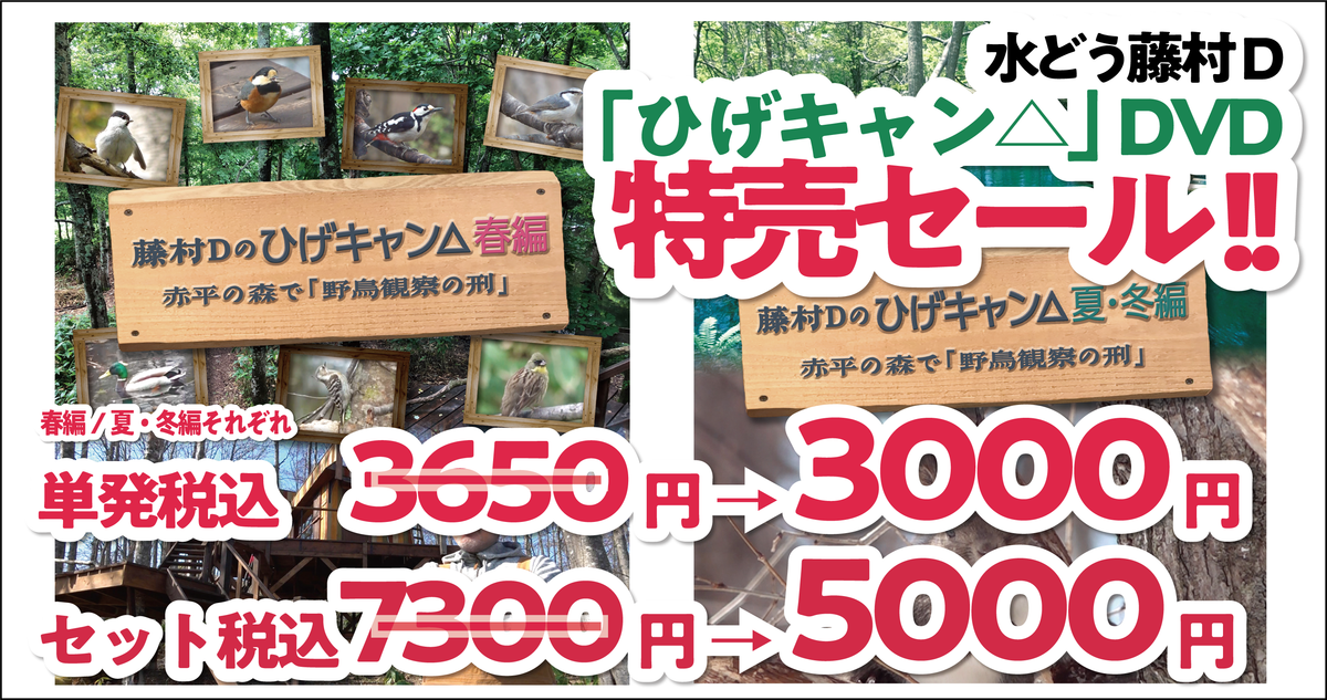 藤村Dのひげキャン△』春編＆夏・冬編セット | 藤村・嬉野のHP